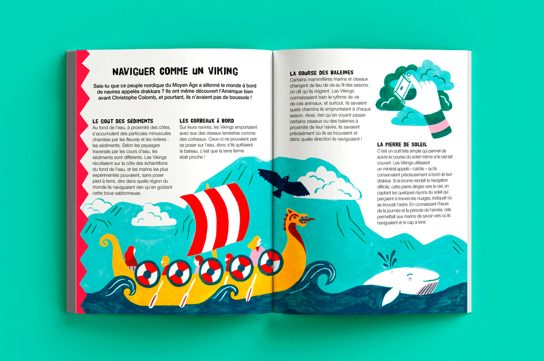 Naviguer comme un viking : double-pages illustrées de l'album jeunesse documentaire Décodons les signes de la nature paru chez Vagnon éditions