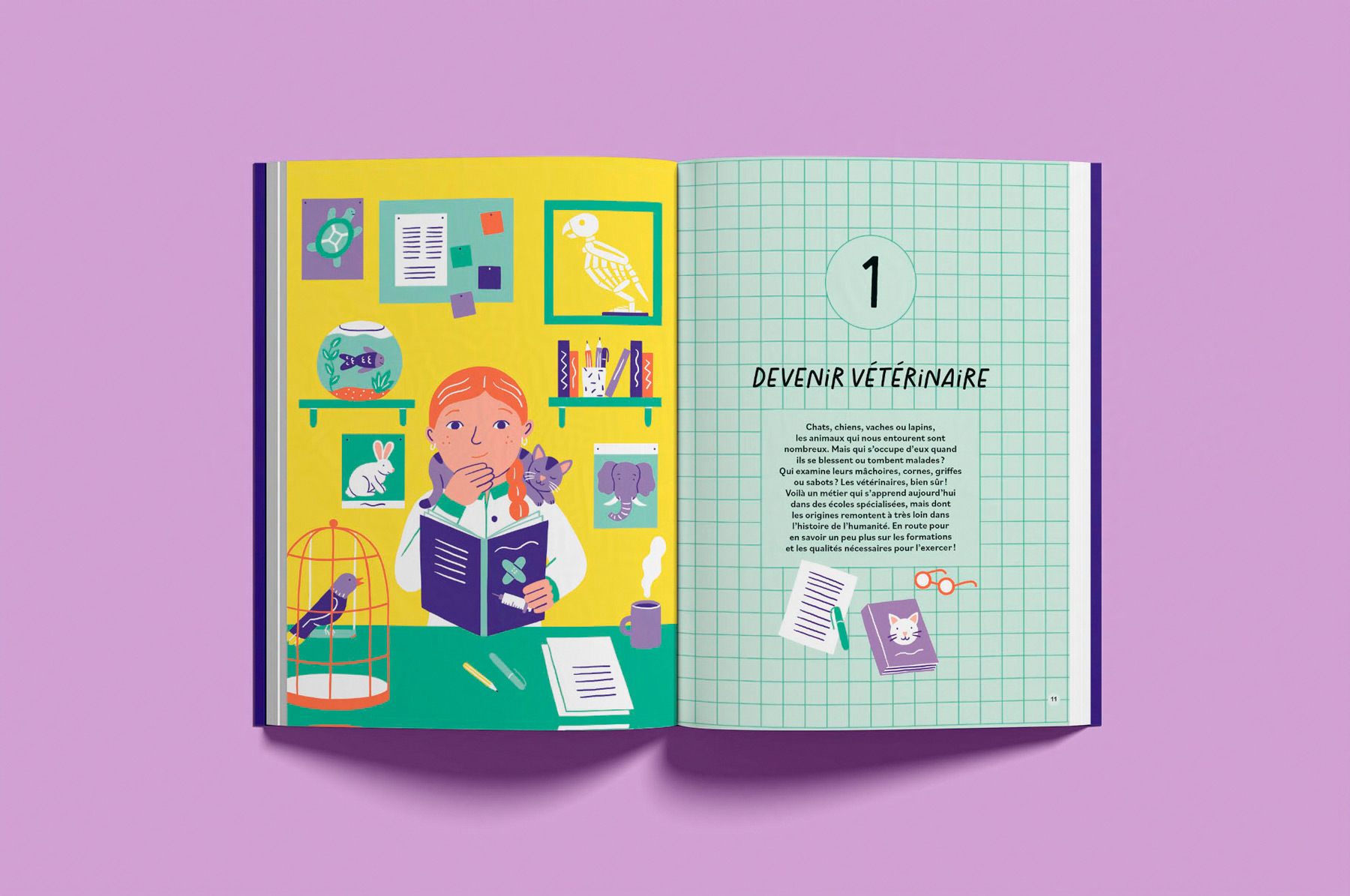 pages illustrées de l'album jeunesse documentaire Je rêve d'être vétérinaire paru chez Casterman